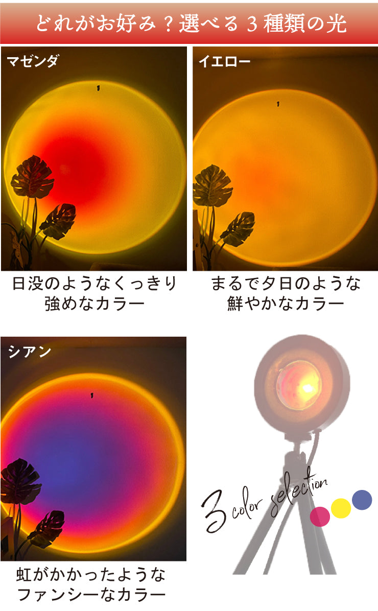 サンセットライト サークルライト サンプロライト 夕日ライト LED フロアスタンド ルームライト 夕日 レインボー 背景照明 TikTok Instagram YouTube LBG ビームテック