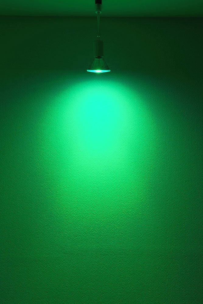 LED スポットライト 電球 E26 ハロゲン 38度 防雨 虫対策 赤 緑 青 橙 LDR17RGBO-W38 ビームテック