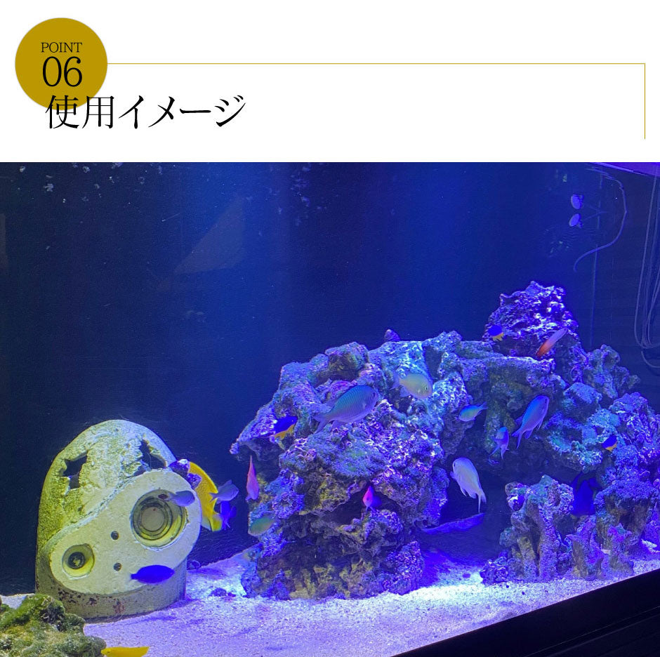 LED 照明 ブラックボックス 調光 タイマー付 サンゴ 海水 - 魚用品/水草