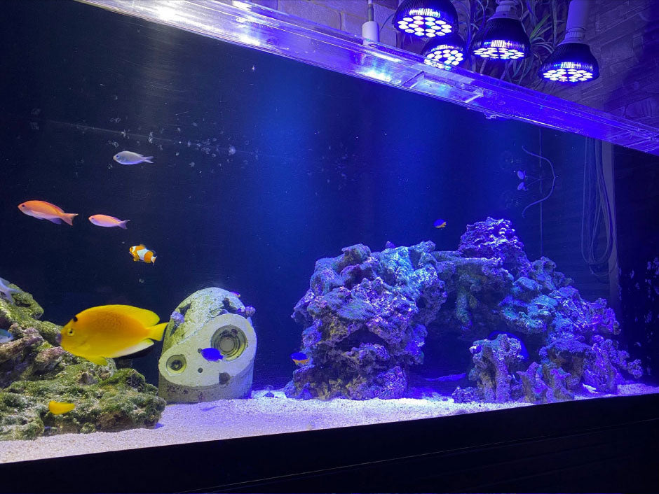 LED 水槽 アクアリウムライト E26 水槽ライト 20W 水槽対応 水槽用照明 アクアリウム ライト RGB 観賞魚ライト 熱帯魚 ライト 観賞魚飼育 ビオトープ 水草育成 海水 サンゴ ライブロック LDR20AQ-W38 ビームテック