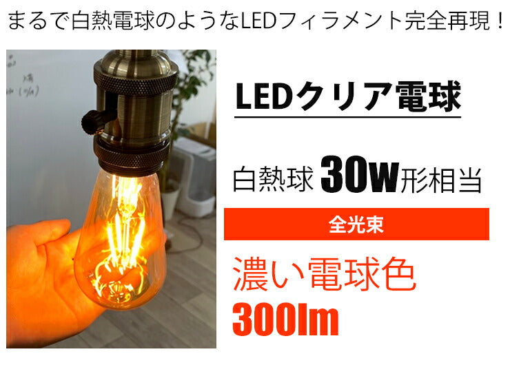 LED電球 E26 30W 相当 300度 フィラメント エジソン レトロ 北欧 虫