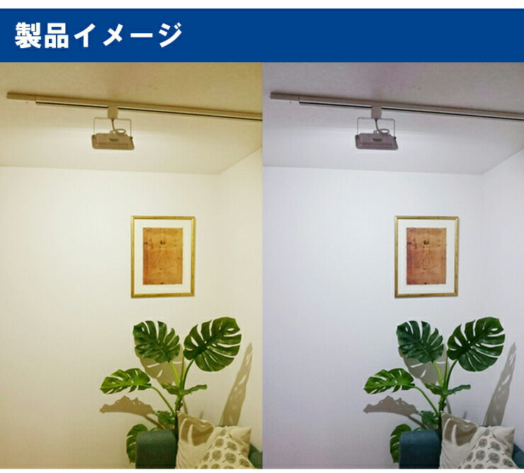 LED投光器 ダクトレール スポットライト 電球色 昼光色 黒 白 30W IP65