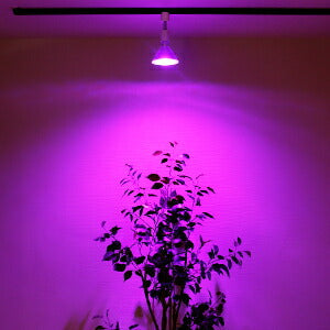 LED 植物育成 水耕栽培 LEDライト 観葉 植物 育成 ガーデニング 植物育成ライト E26 赤 青 防水 LG13W-PAR38 ビームテック
