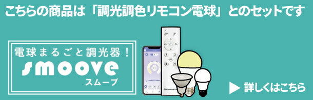 ダクトレール スポットライト 照明 ライト レールライト E26 LED電球付き 60W 相当 210度 調光 調色 虫対策 電球色 昼白色 昼光色 リモコン 工事不要 リモコンセット 黒 白 E26RCR-LDA8W2C4R ビームテック